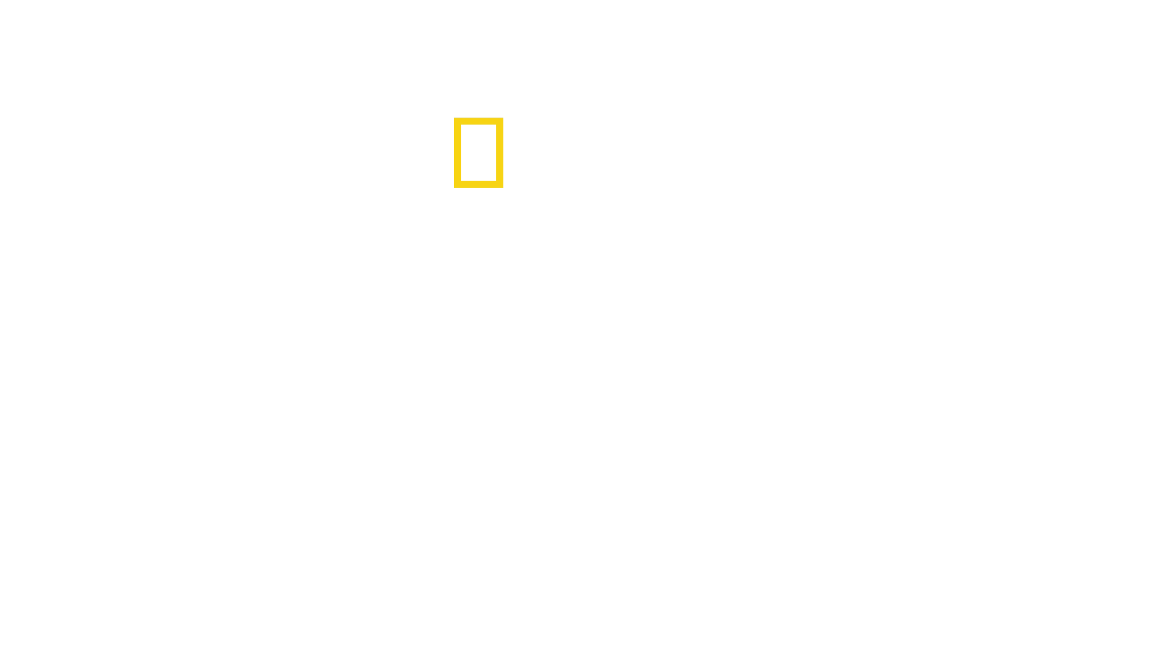 Albert Lin en busca de las ciudades perdidas
