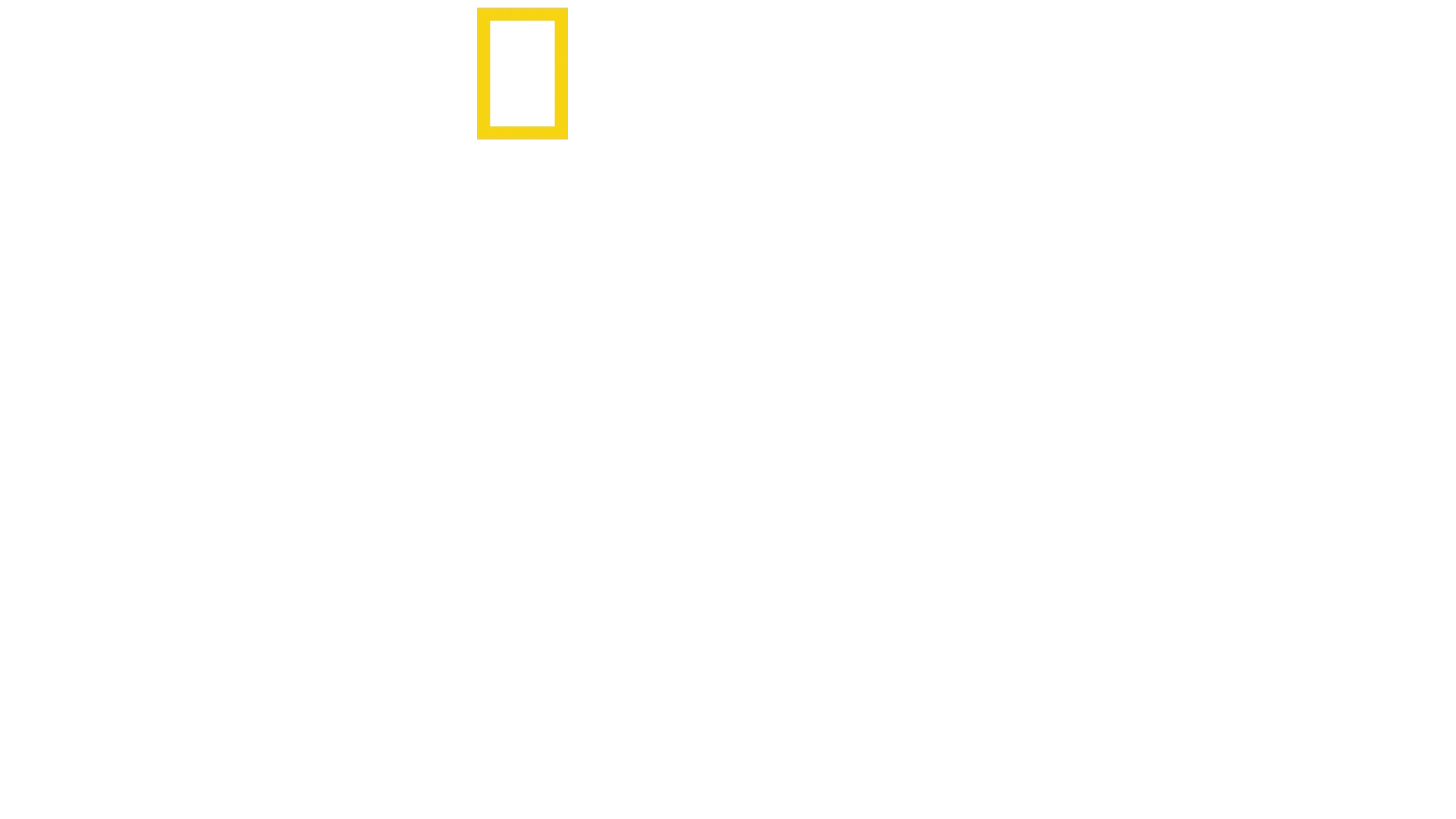 Civiltà perdute con Albert Lin
