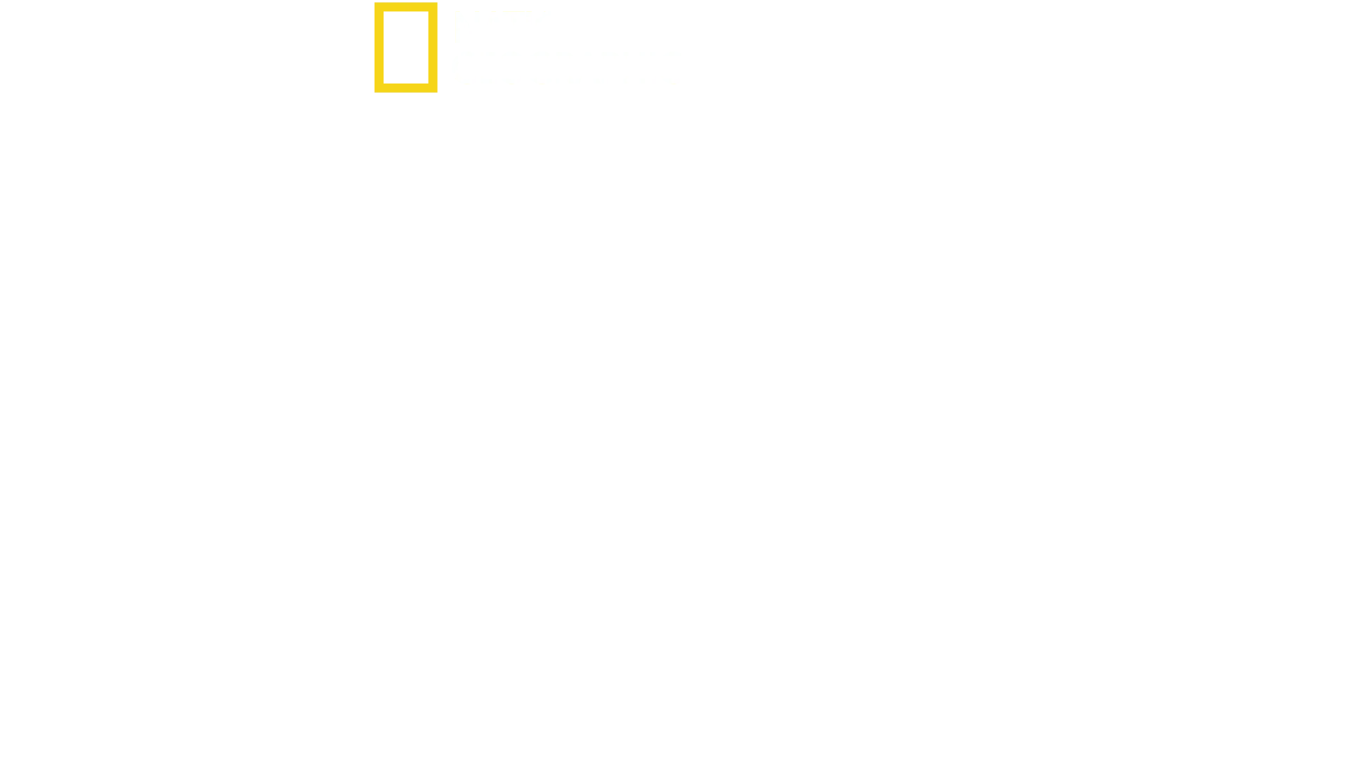 자라나는 동물들
