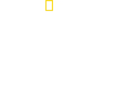 자라나는 동물들