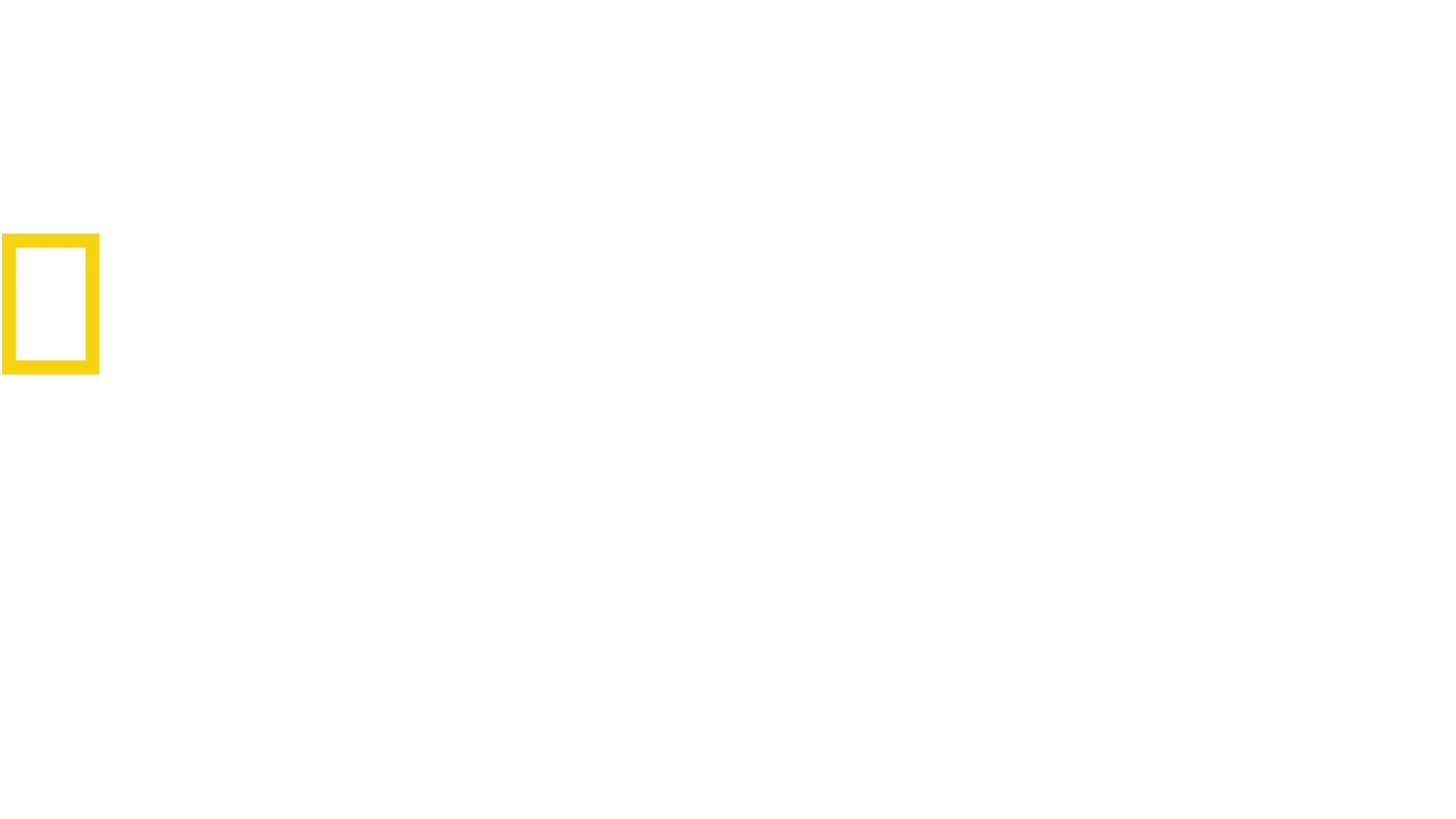 Problemhunder