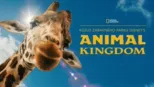 thumbnail - Kúzlo zábavného parku Disney's Animal Kingdom