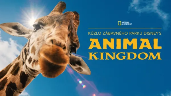 thumbnail - Kúzlo zábavného parku Disney's Animal Kingdom