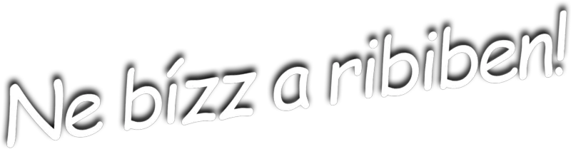 Ne bízz a 23-asban lakó p-ában! / Ne bízz a ribiben!