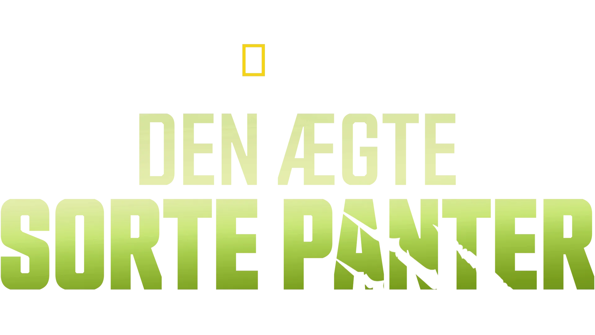 Den ægte sorte panter
