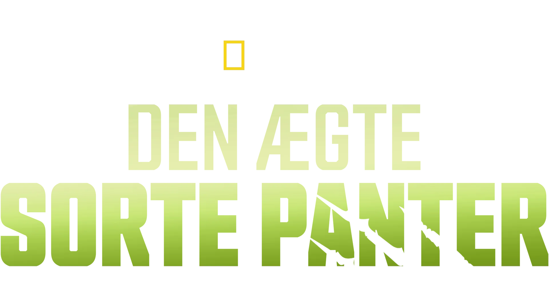Den ægte sorte panter