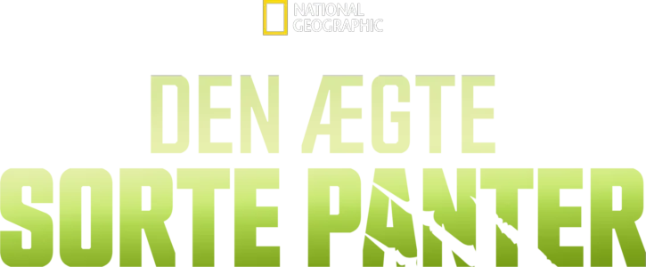 Den ægte sorte panter