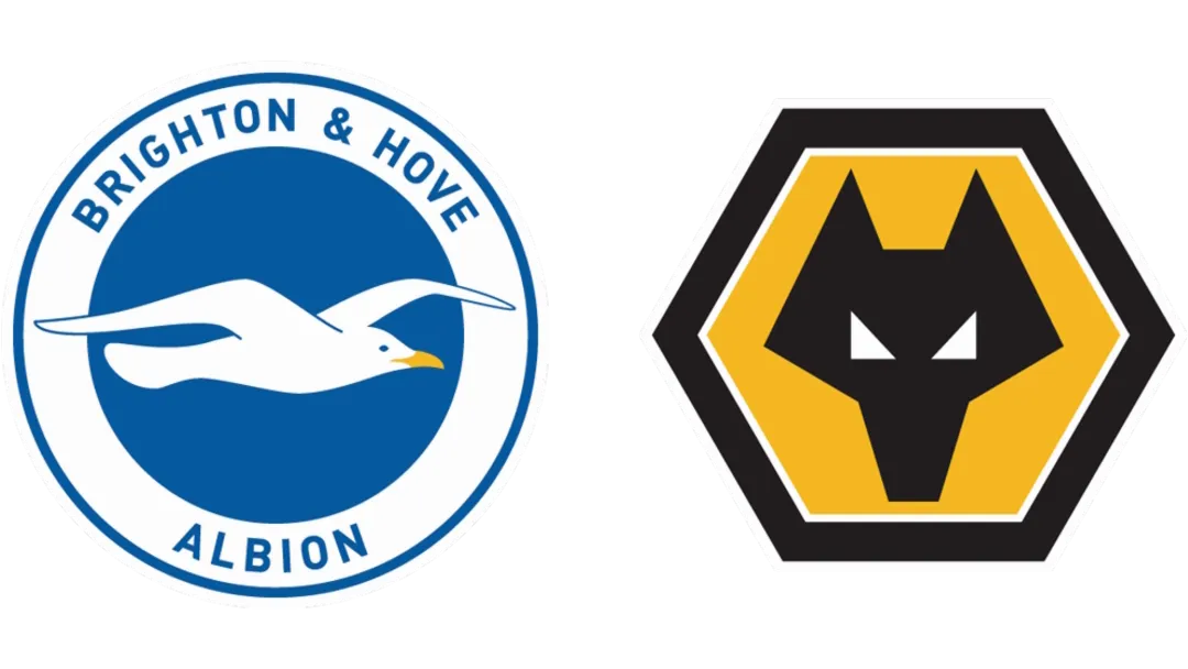 Brighton & Hove Albion x Wolverhampton Wanderers