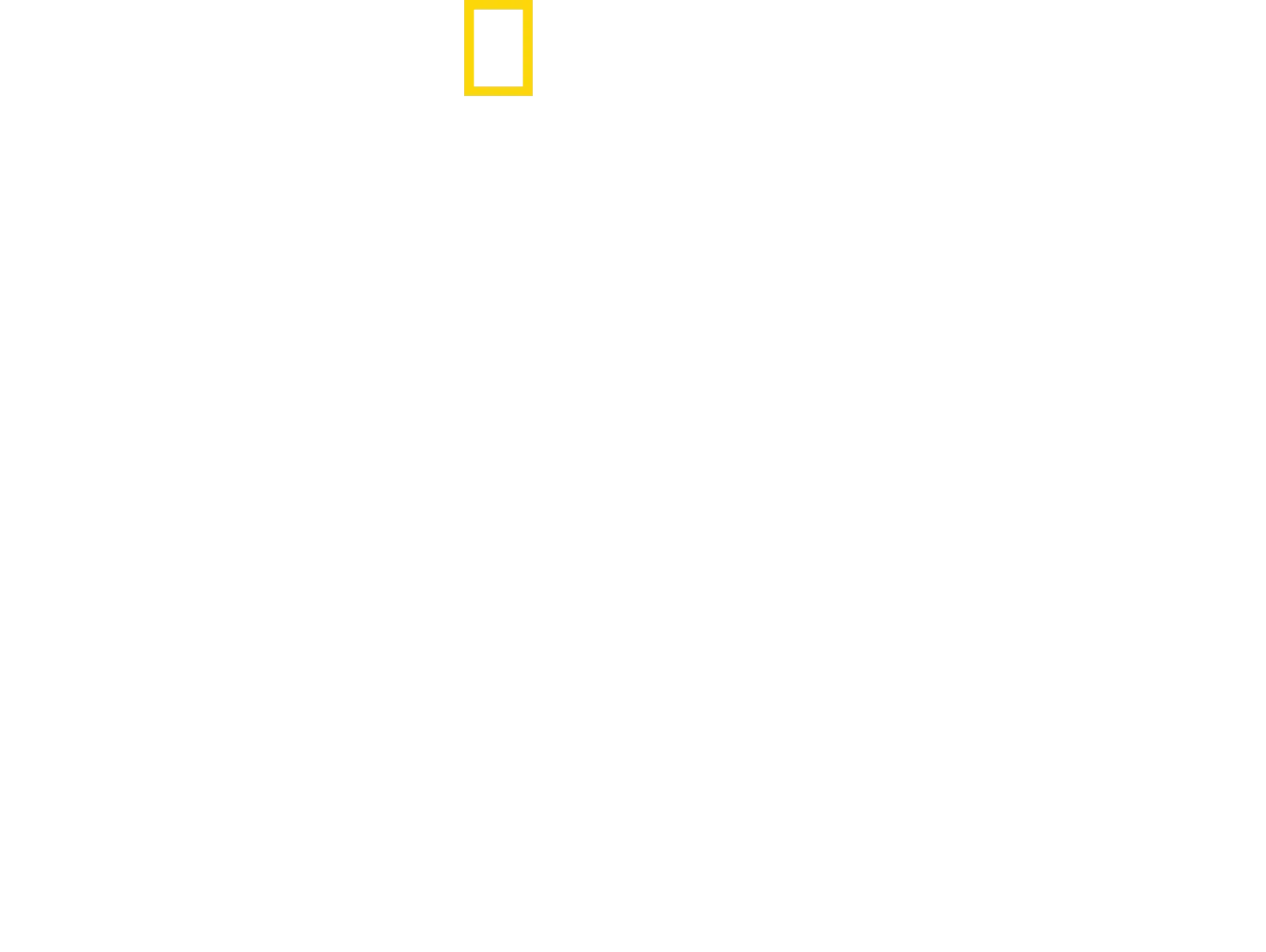Haie - Vereint in der Jagd?