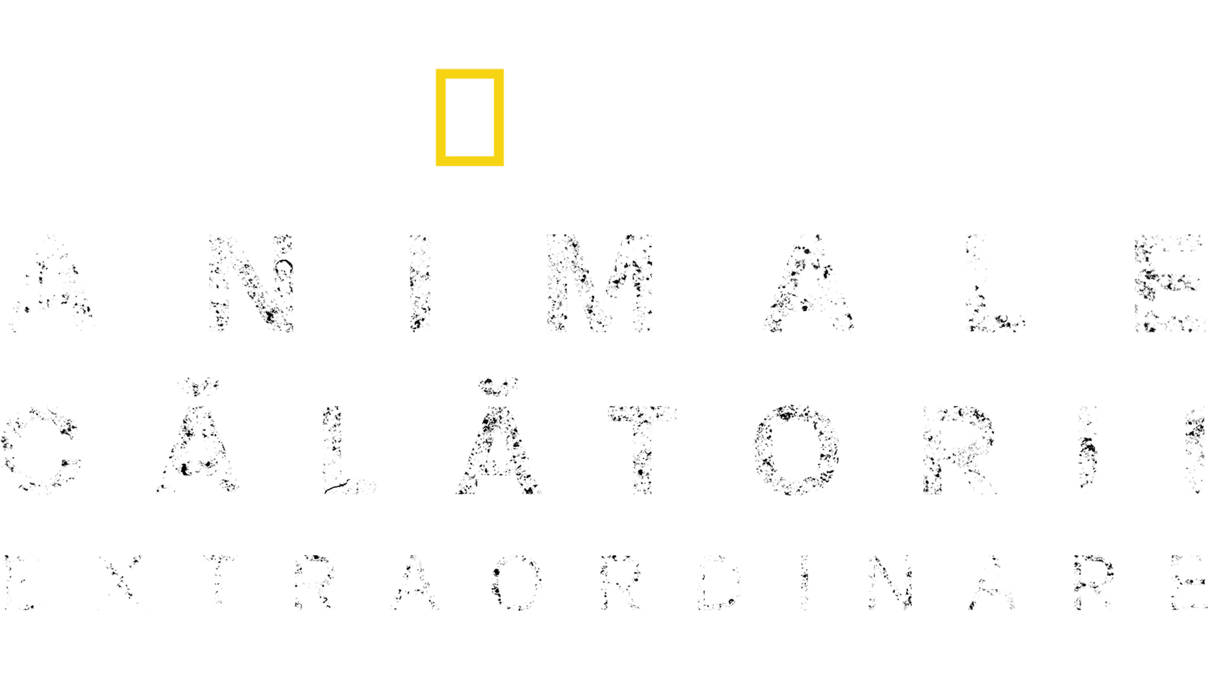 Călătoriile incredibile ale animalelor