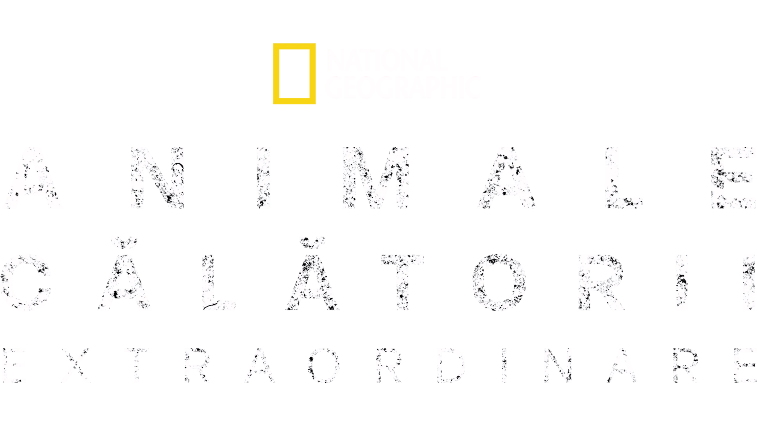 Călătoriile incredibile ale animalelor