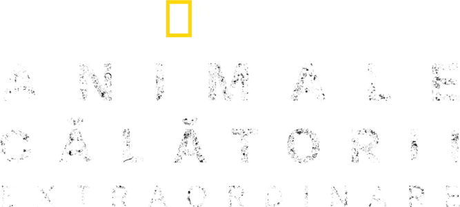Animale grozave