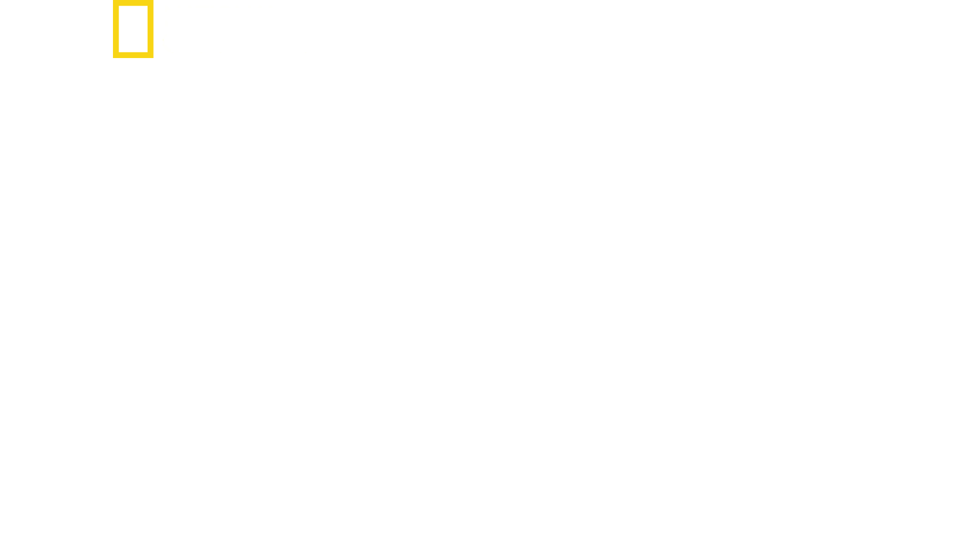 El nuevo Air Force One