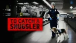 thumbnail - To Catch a Smuggler