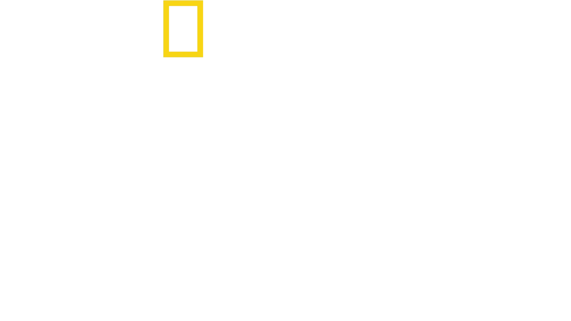 Sabor Caseiro com Antoni Porowski