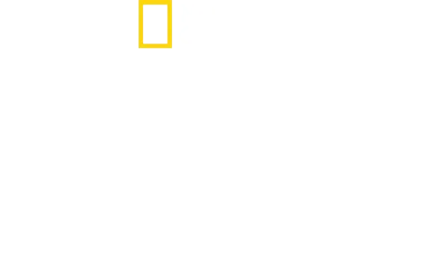 Sabor Caseiro com Antoni Porowski