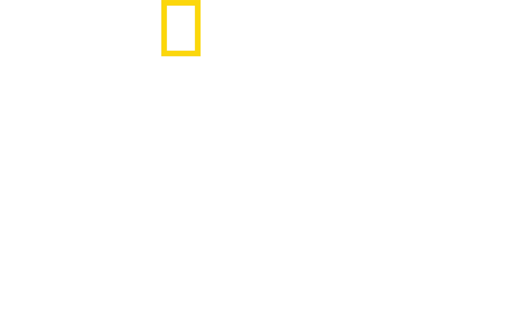 Sabor Caseiro com Antoni Porowski