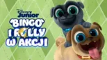 thumbnail - Bingo i Rolly w akcji