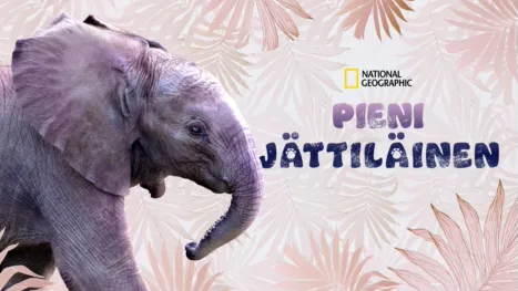 thumbnail - Pieni jättiläinen