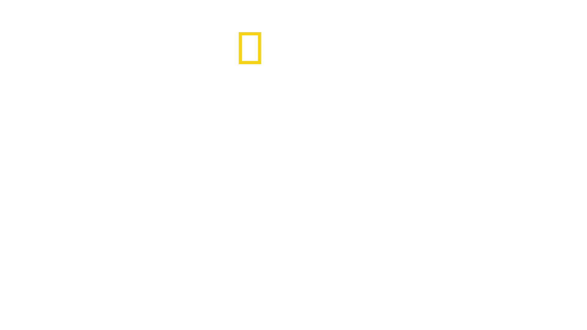Control de aeropuertos: USA
