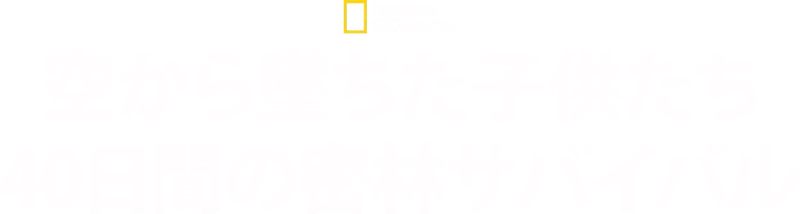空から墜ちた子供たち：40日間の密林サバイバル