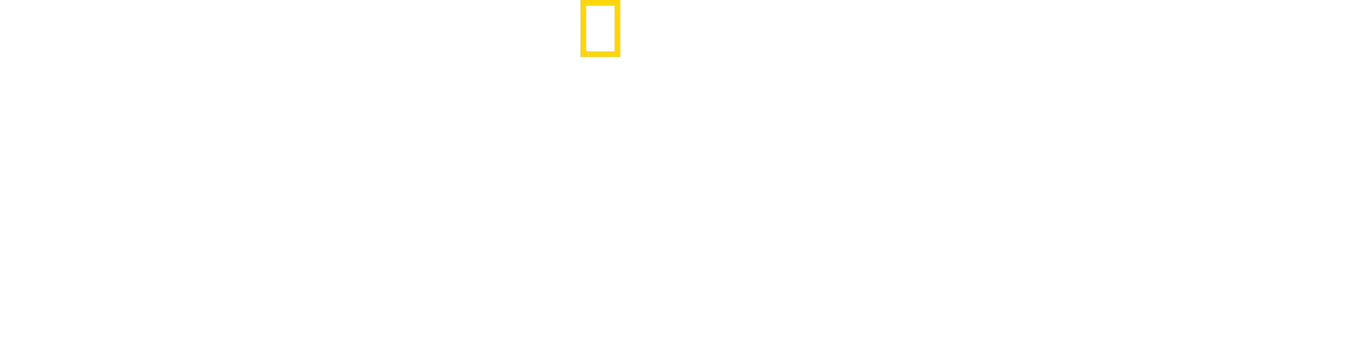 空から墜ちた子供たち：40日間の密林サバイバル
