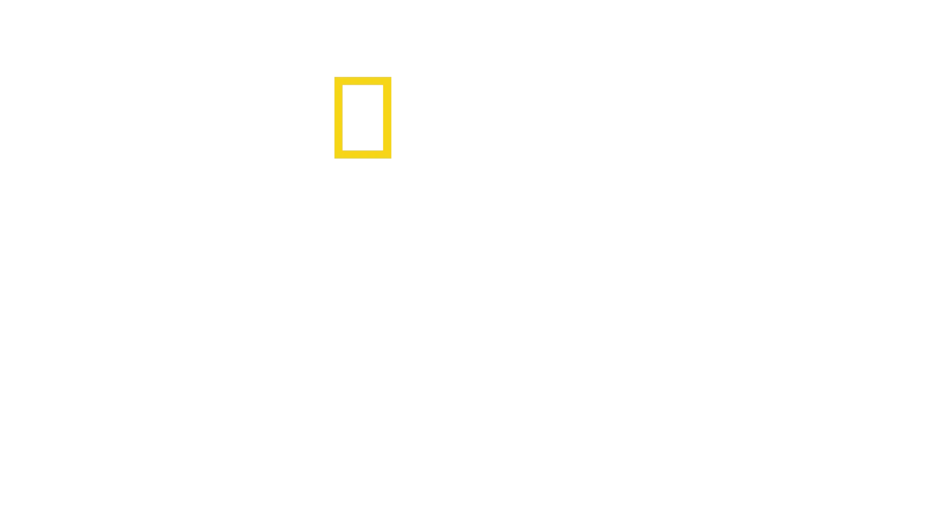 Față în față cu cimpanzeii