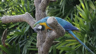 thumbnail - S4:E1 Crash Landing