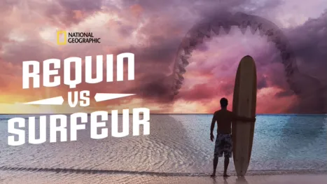 thumbnail - Requin contre Surfeur