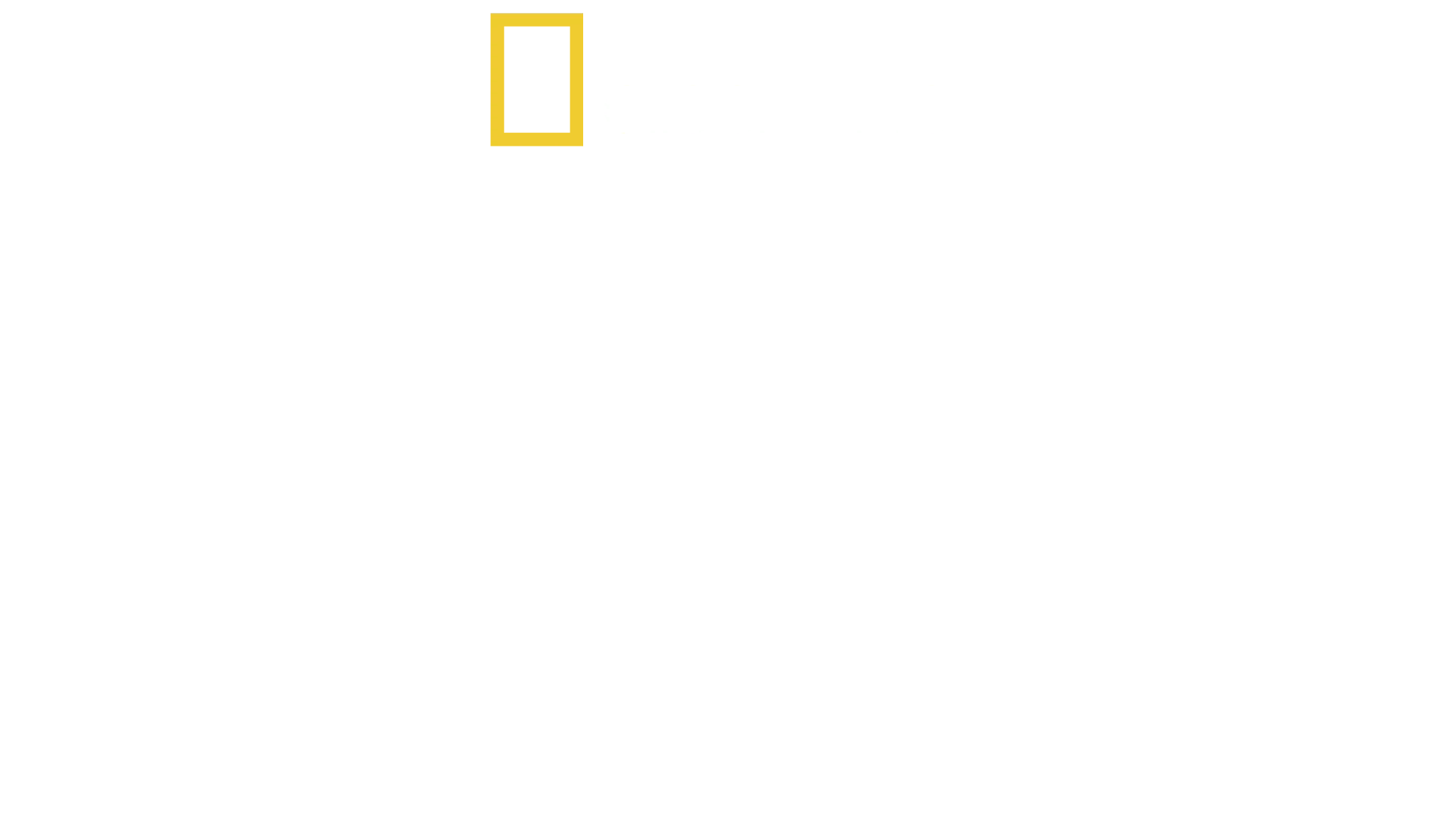 리미트리스: 지금, 더 건강하게