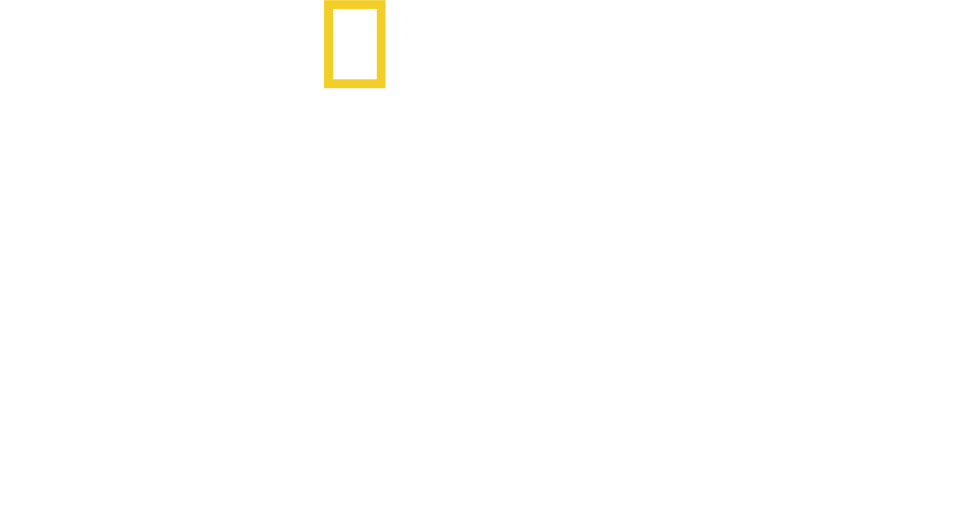 리미트리스: 지금, 더 건강하게