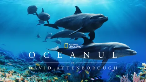 thumbnail - Oceanul cu David Attenborough