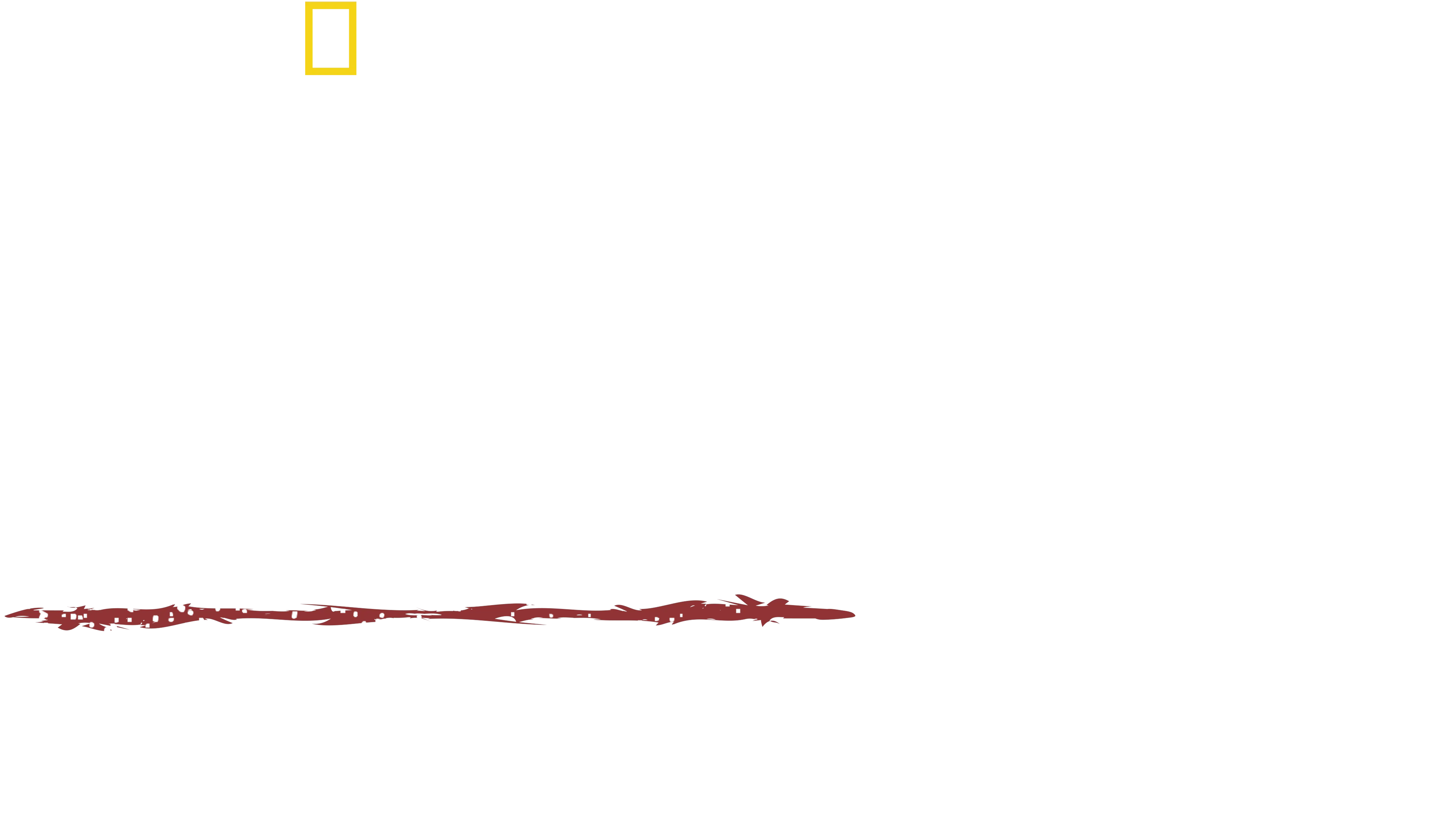 Umění přežít: Dobrodružství v Amazonii