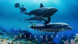 thumbnail - Ocean with David Attenborough