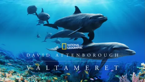 thumbnail - Ocean with David Attenborough