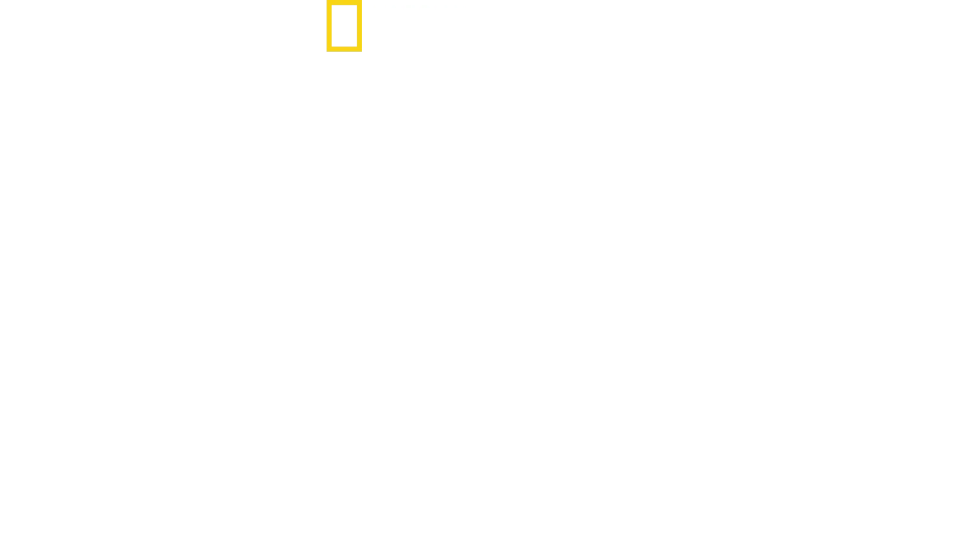 Tubarões: Celebridades Carnivoras