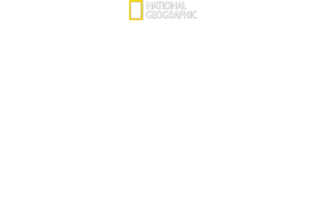 Tubarões: Celebridades Carnivoras