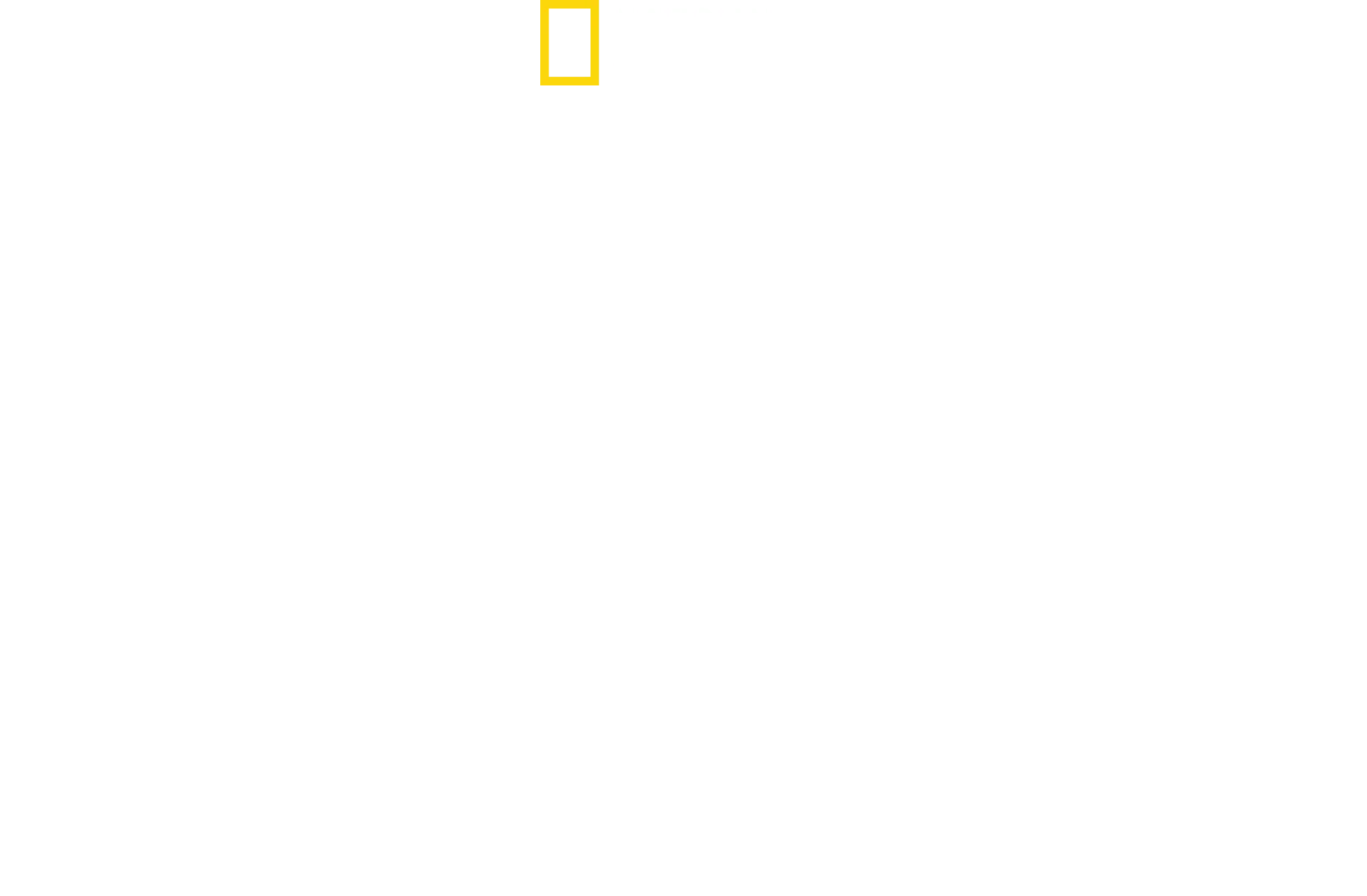 Tubarões: Celebridades Carnivoras