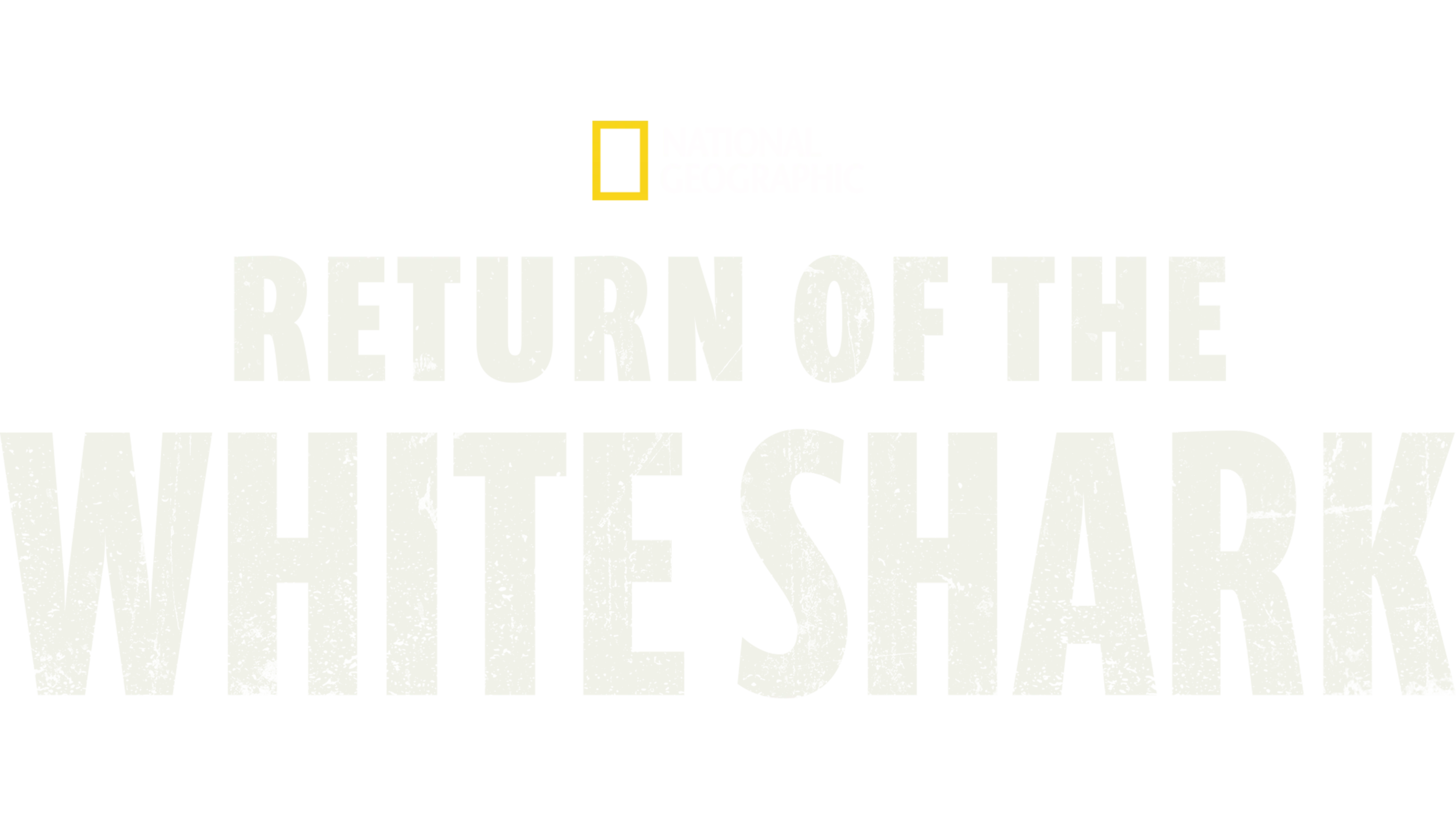 Return of the White Shark