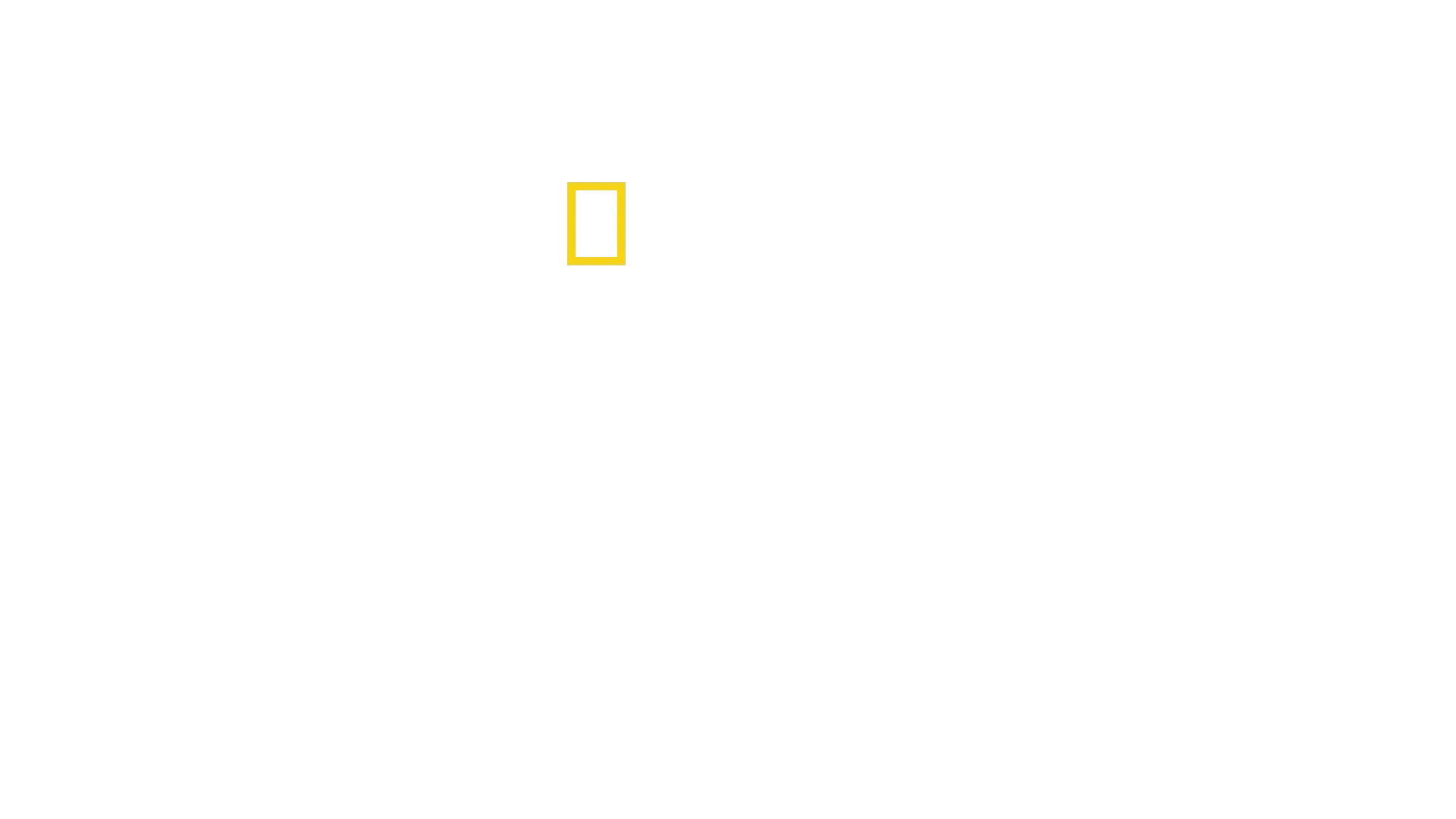 La clinique des animaux exotiques