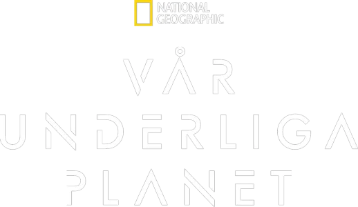 Vår underliga planet