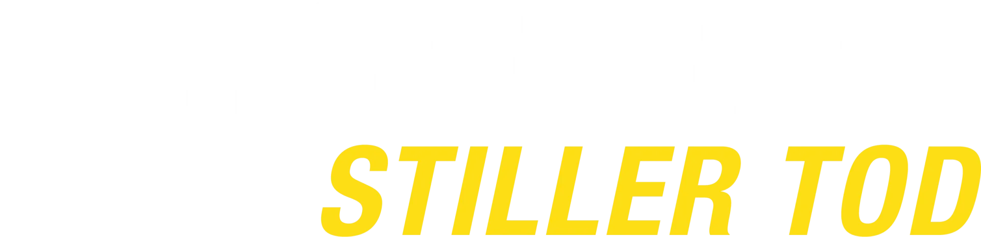 Sarah Kohr - Stiller Tod