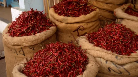 Story of... Spice