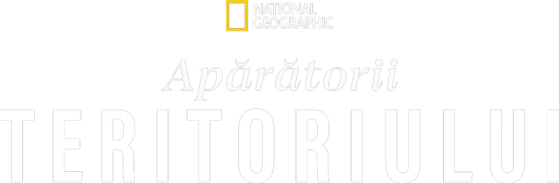 Apărătorii Teritoriului