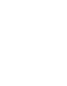 28 Semanas Depois