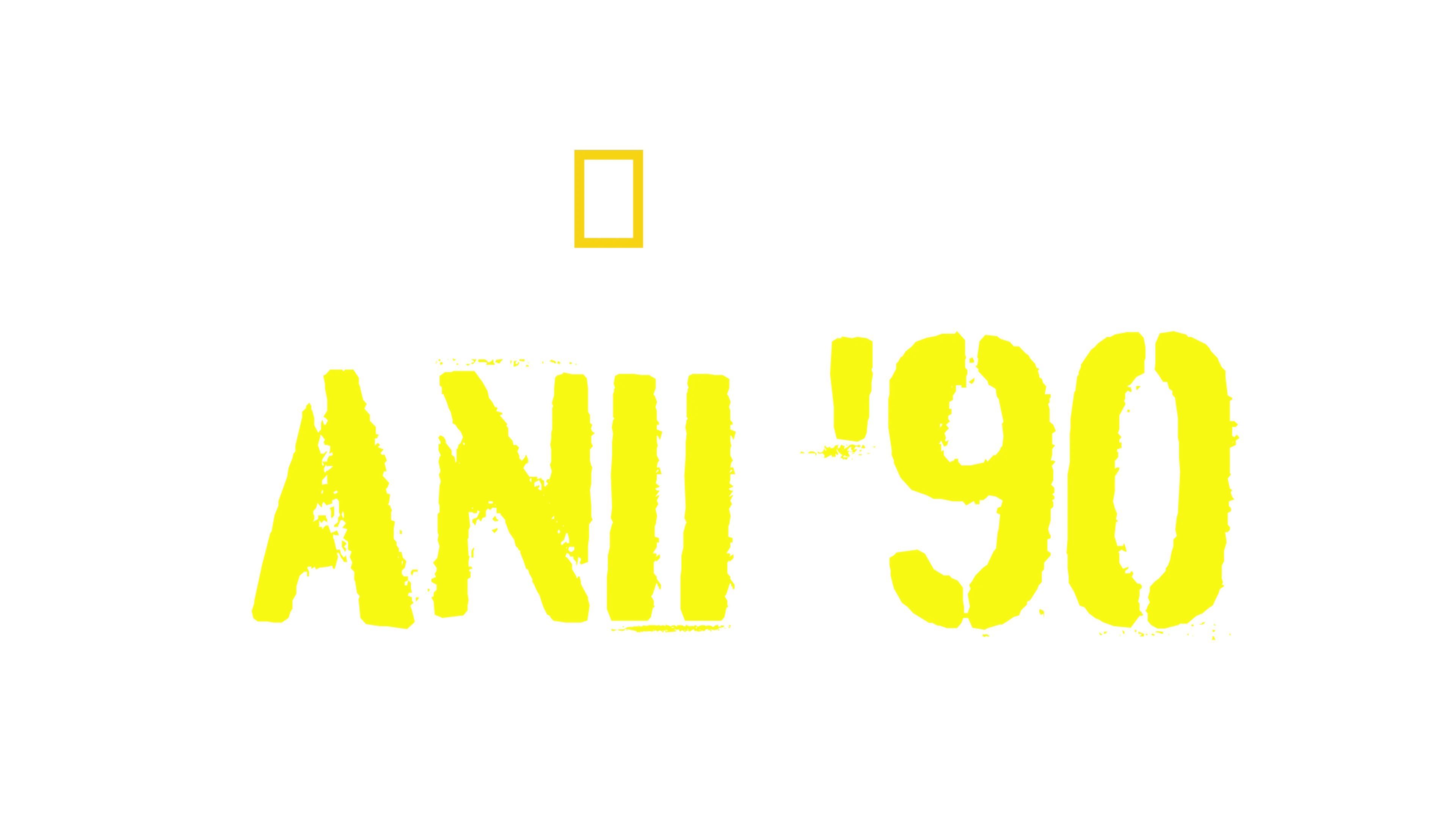 Anii '90