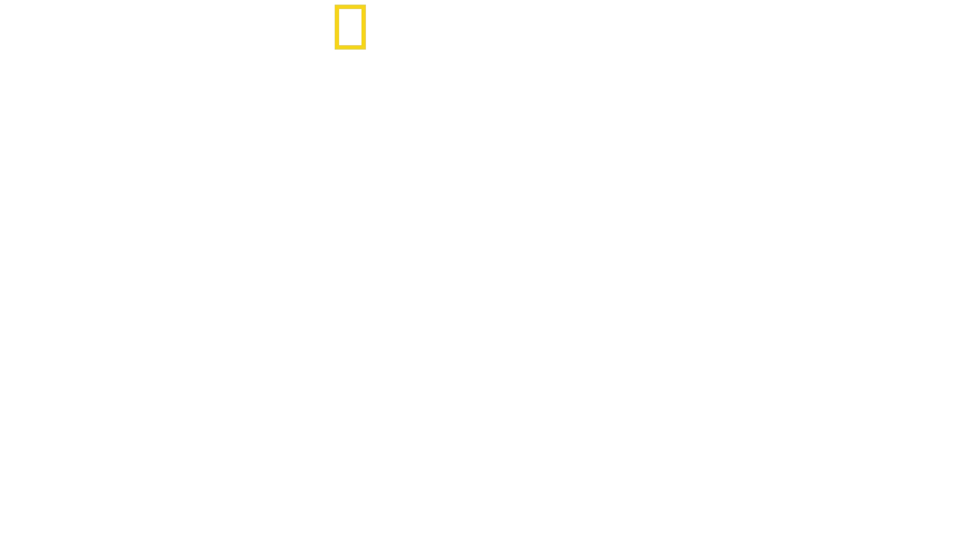 Magic of Disney’s Animal Kingdom《迪士尼神奇動物王國》