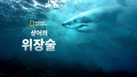 thumbnail - 유령 상어