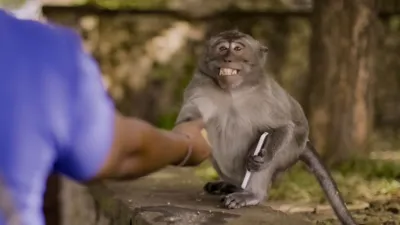 thumbnail - The Unusual Suspects