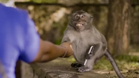 thumbnail - Sospechosos inusuales